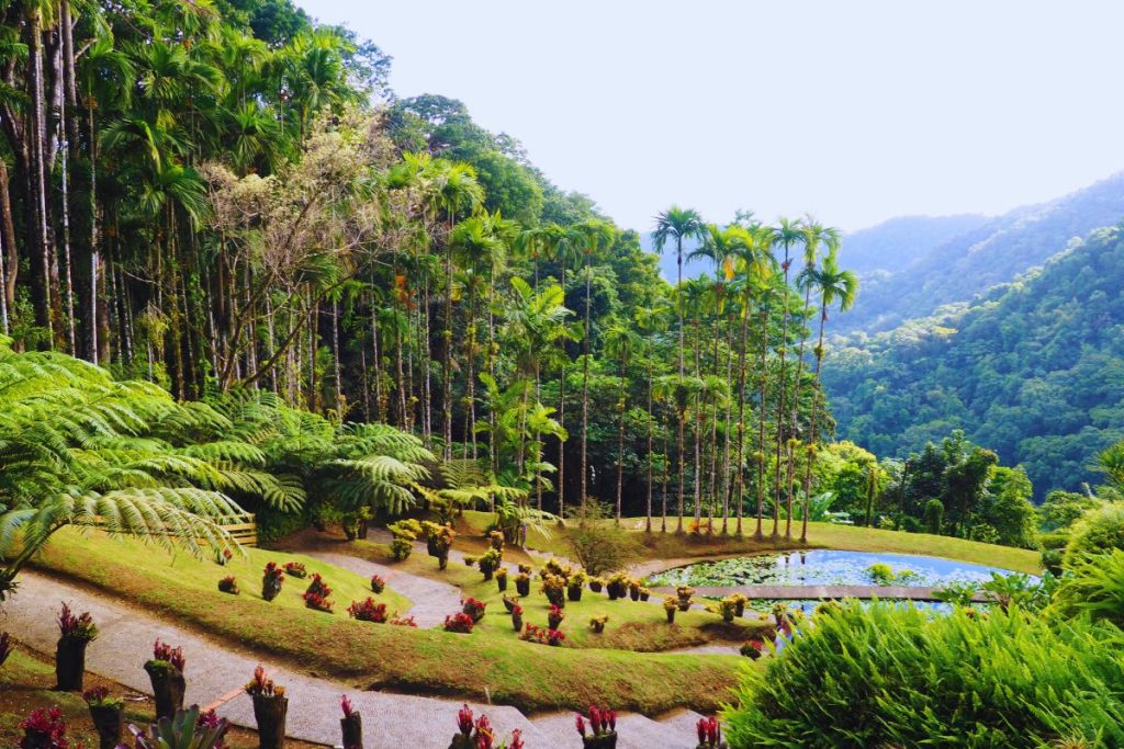 jardin en martinique